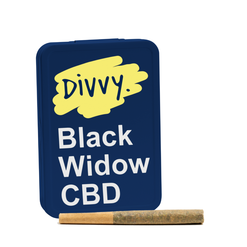 Divvy Black Widow CBD 12 x 0.35g Pre-Rolls