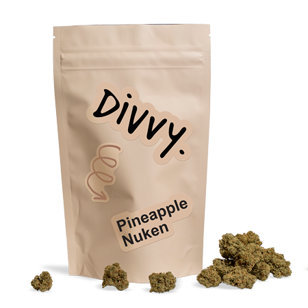 Divvy Pineapple Nuken