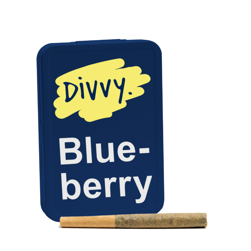 Divvy Blueberry 12×0.35g Pre-Rolls