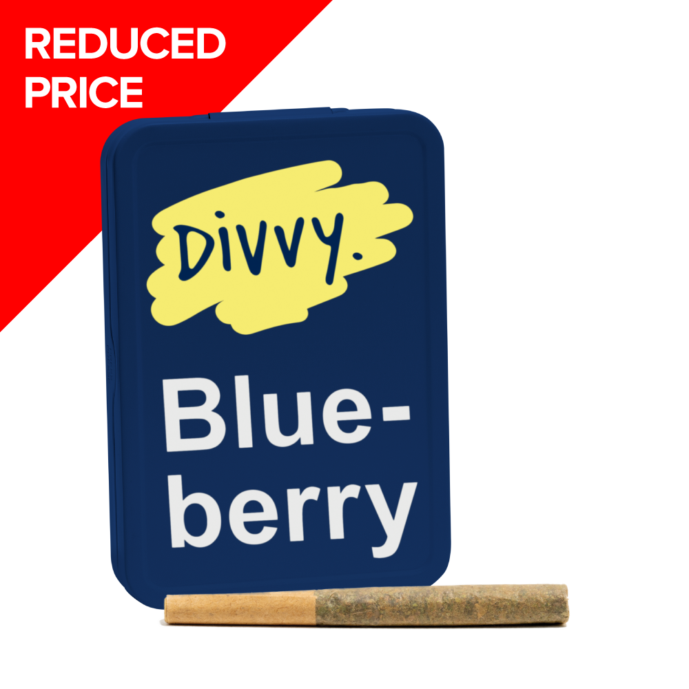 Divvy Blueberry 12×0.35g Pre-Rolls