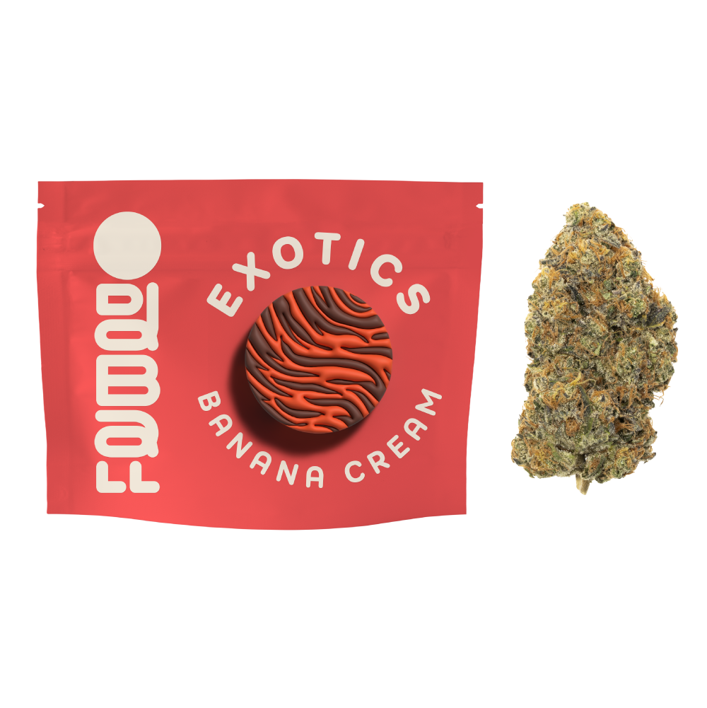 Oddball Exotics | Banana Cream