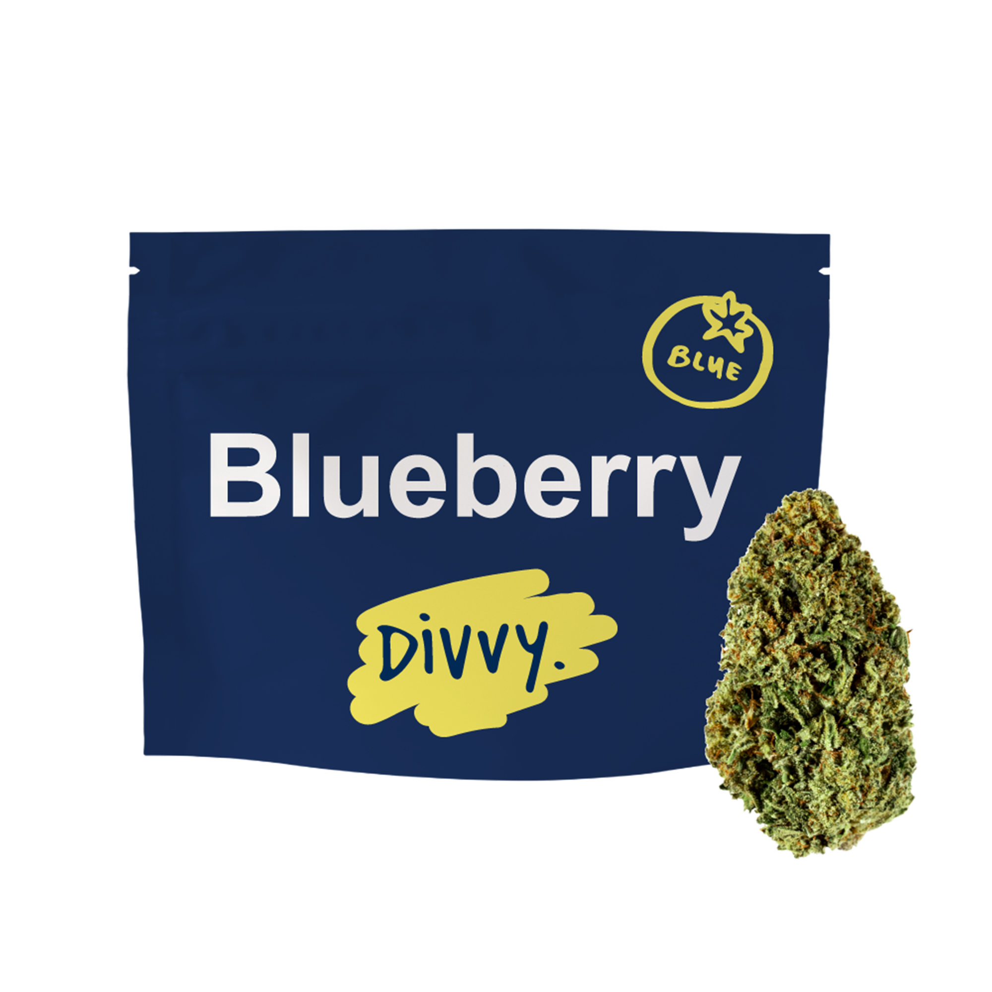 Divvy Blueberry