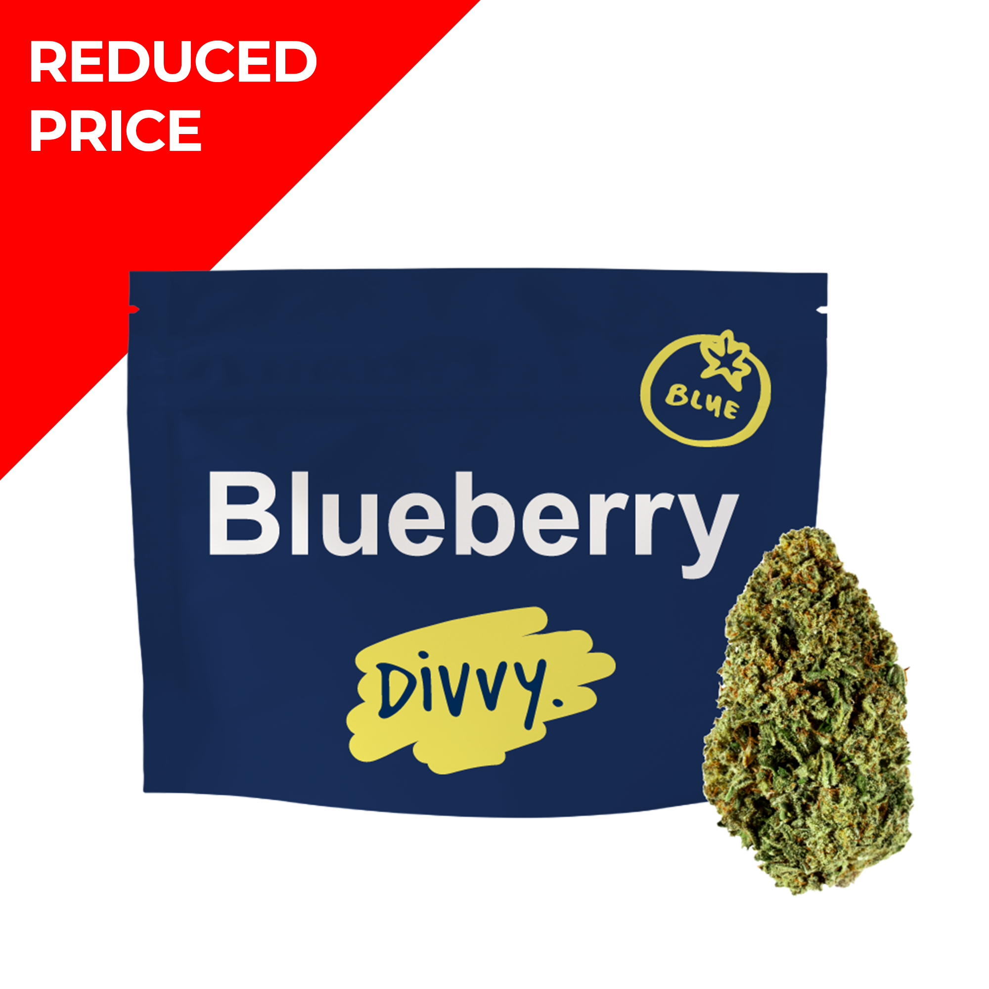 Divvy Blueberry