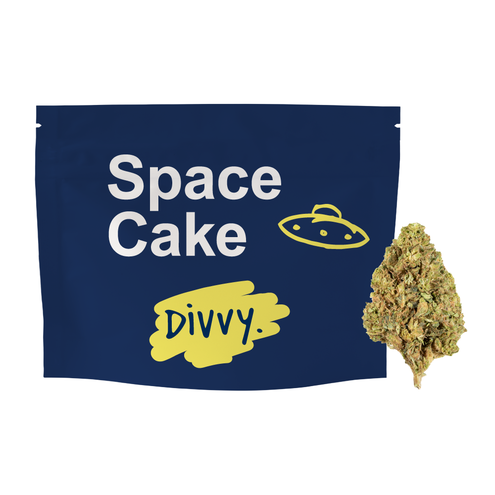 Divvy Space Cake